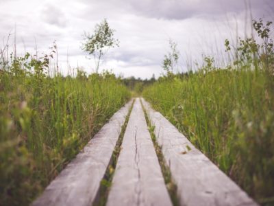 Grassy Path